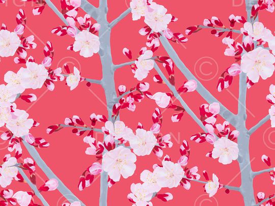 梅花印花花型图片