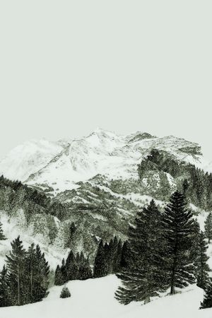雪山印花花型图片