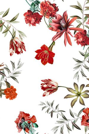 花卉印花花型图片