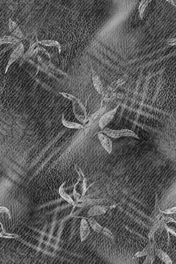 1595138-20241122 -4