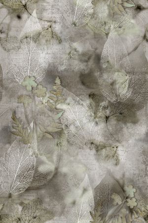 男装印花花型图片