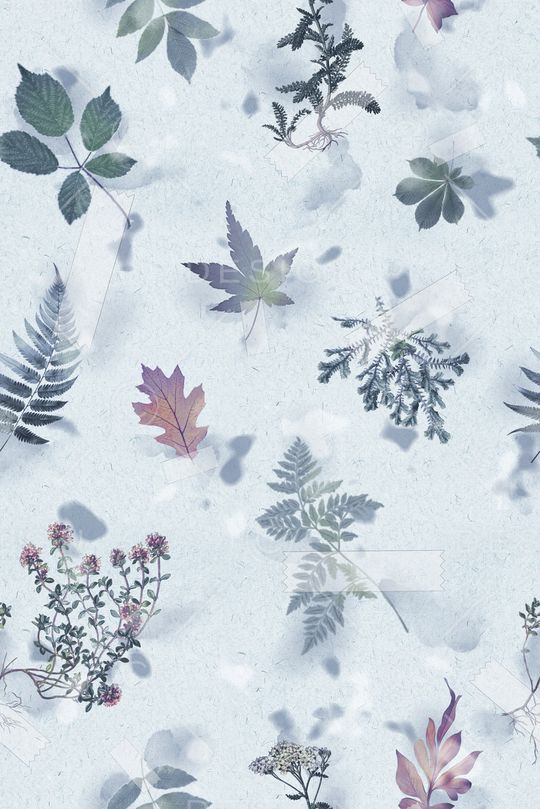 印花花型图片
