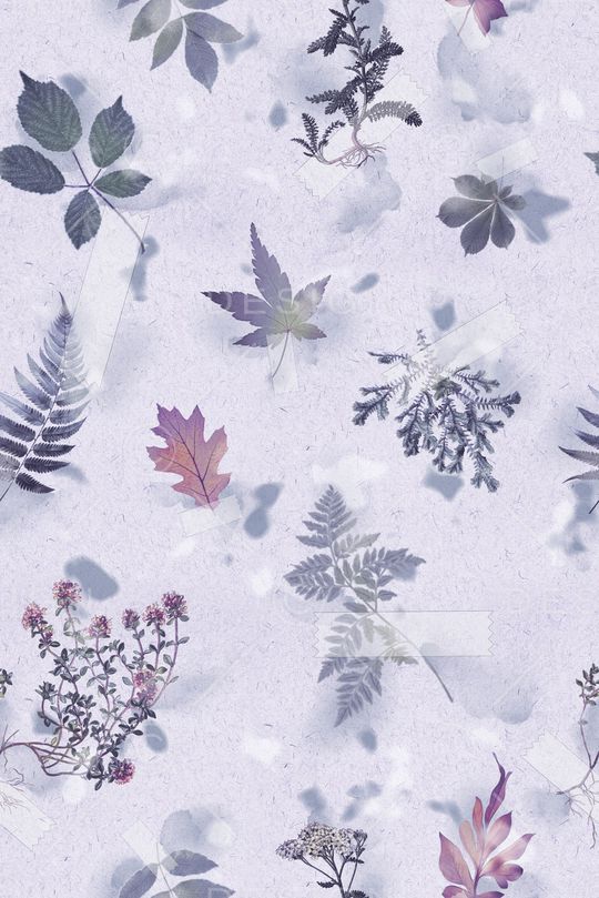 印花花型图片