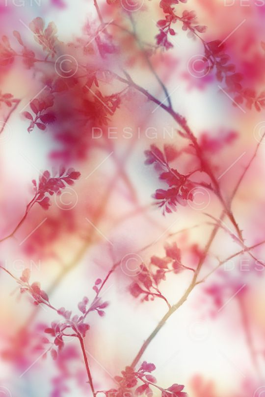 真丝印花花型图片