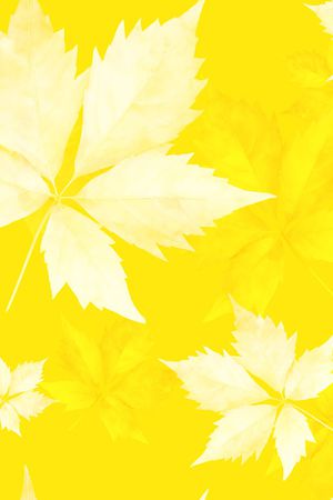 叶子印花花型图片