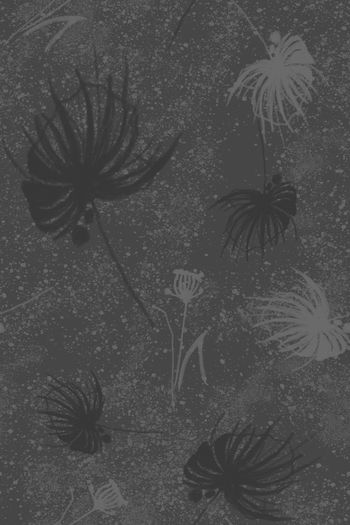 黑白印花花型图片