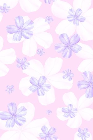 年轻女装印花花型图片