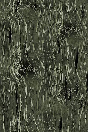 1635460-20260110 -2