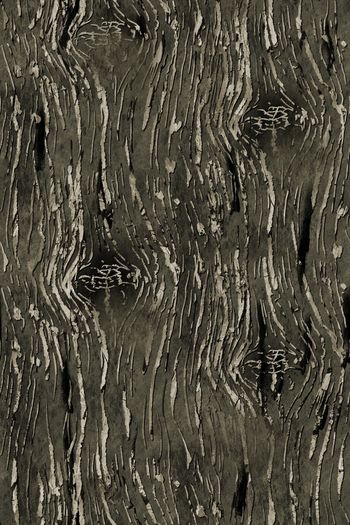 1635462-20260110 -4