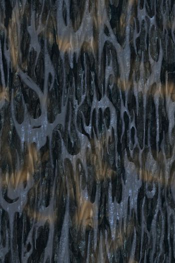 1635550-20260113 -1