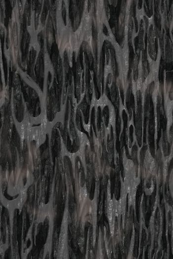 1635553-20260113 -4