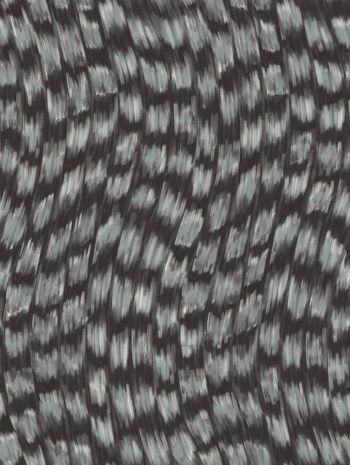 1635601-ZC25205-3b