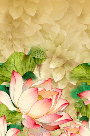 中老年印花花型图片
