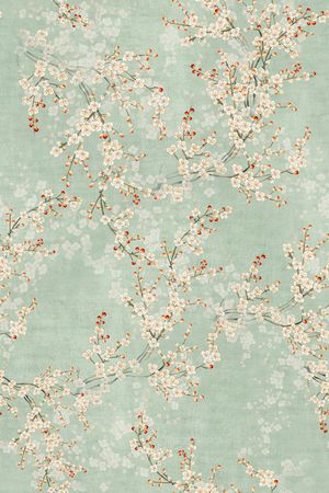 年轻女装印花花型图片