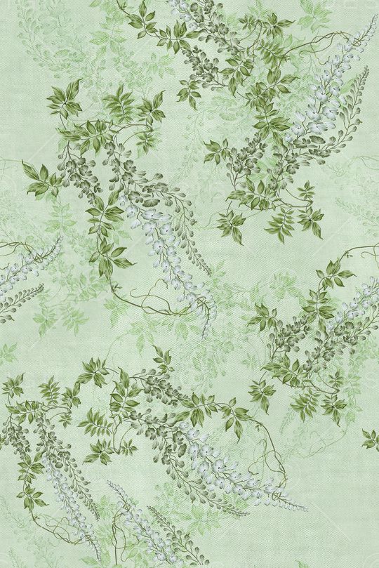 年轻女装印花花型图片