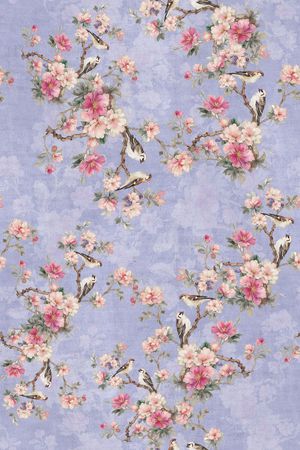 年轻女装印花花型图片