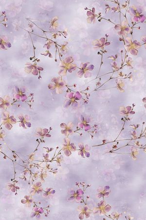 年轻女装印花花型图片