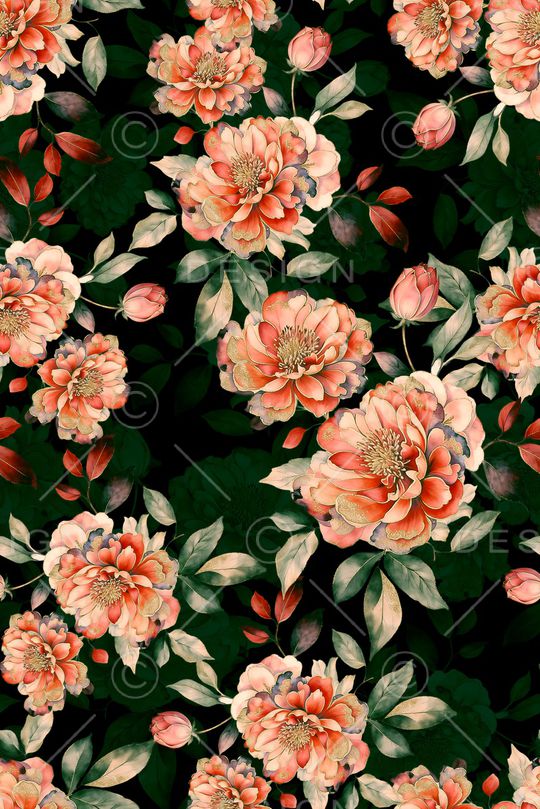 年轻女装印花花型图片