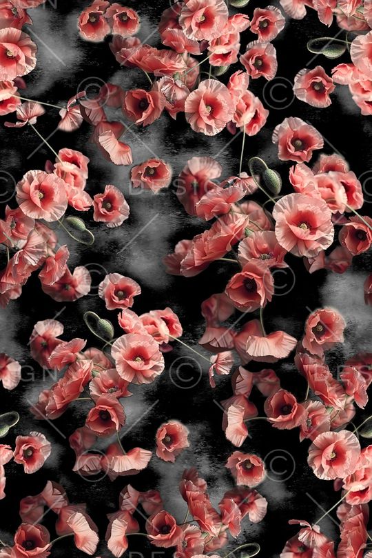 年轻女装印花花型图片