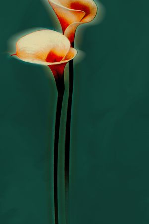 花卉印花花型图片
