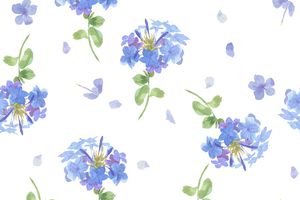 年轻女装印花花型图片