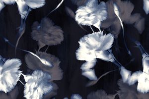 年轻女装印花花型图片