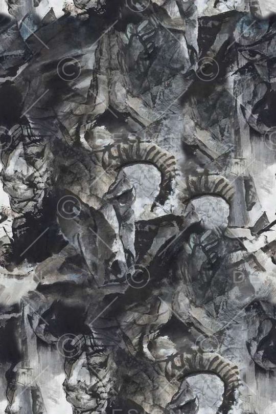 年轻女装印花花型图片
