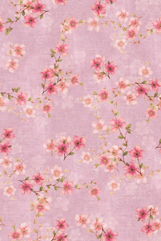 年轻女装印花花型图片