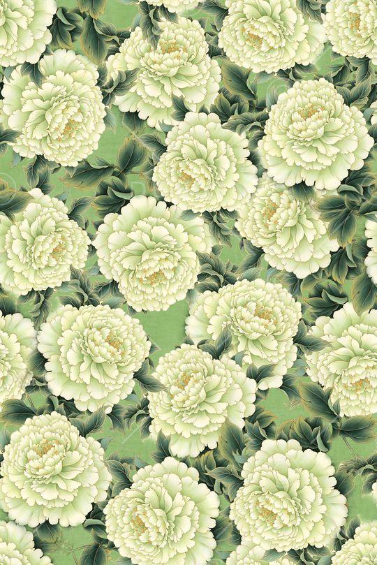年轻女装印花花型图片