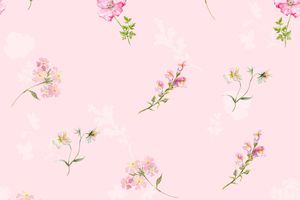 年轻女装印花花型图片