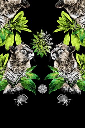 狮子印花花型图片