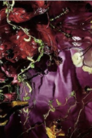 服装印花花型图片