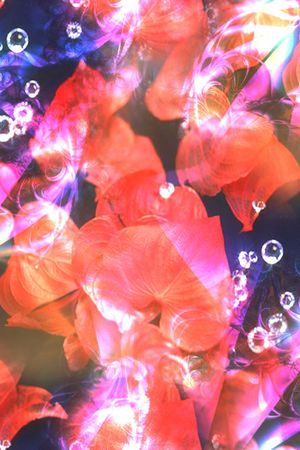 梦幻印花花型图片