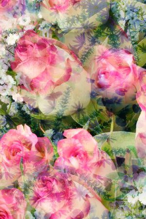 玫瑰印花花型图片