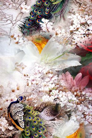 孔雀印花花型图片
