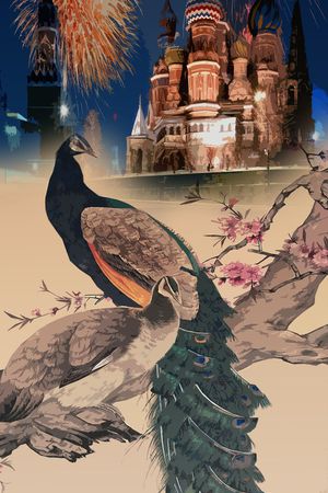 孔雀印花花型图片