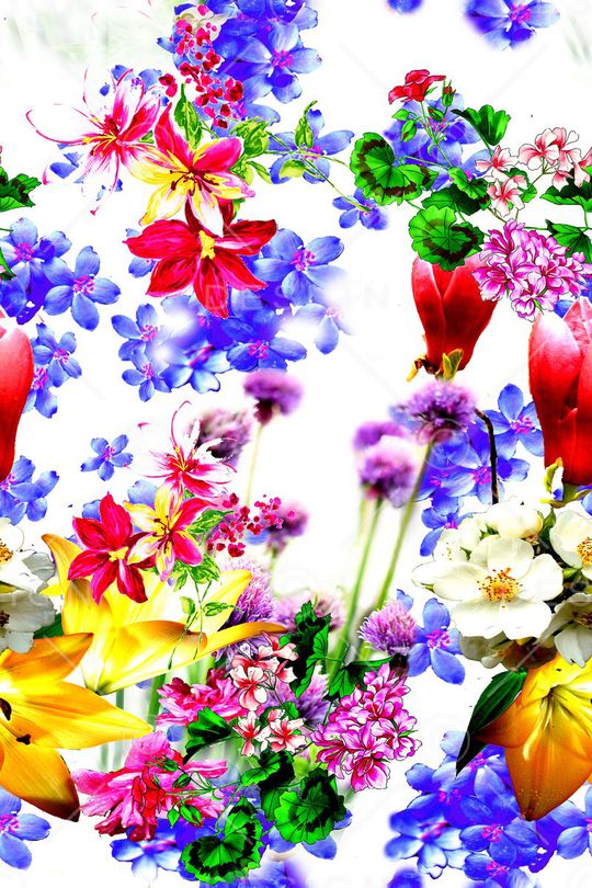花朵印花花型图片