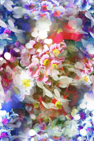 花卉印花花型图片