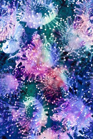 水母印花花型图片
