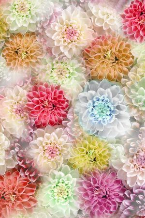 朦胧 清新 大花 花卉 花朵 堆叠 满底 服装印花花型图片