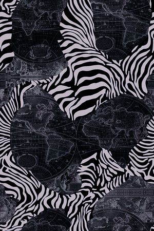 数码 服装 斑马纹 拼贴 动物纹 印花花型图片