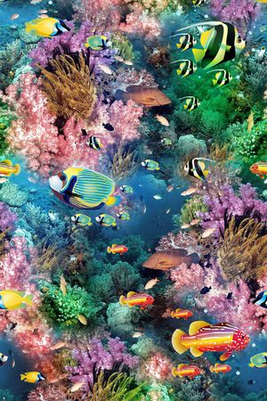 海底 世界 生物 海洋 鱼  热带 珊瑚 植物印花花型图片