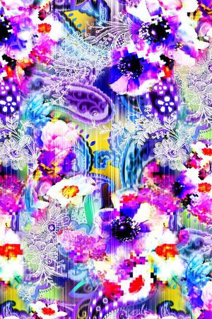 数码 蕾丝 琵琶 花朵 鲜花 腰果花 佩斯利印花花型图片