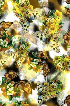 蝴蝶 花卉 花朵 组合 花束 白色 印花花型图片