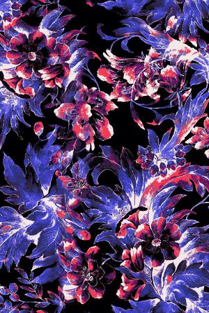 神秘 冬季 花卉 花朵 紫色 黑底印花花型图片