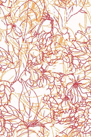 线条 花卉 白描  花朵 服装 印花花型图片