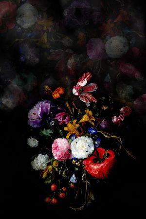 黑底 油画 静物 花卉 印花花型图片