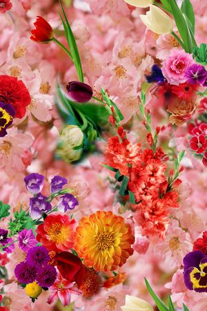 花卉 满底 樱花 粉红 菊花印花花型图片
