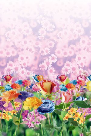 定位 花卉 写实 照片印花花型图片