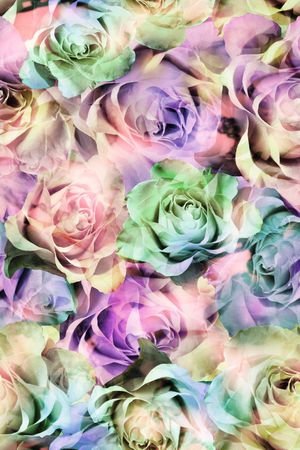 玫瑰 大花 满底 浪漫 花朵 漂亮 印花花型图片